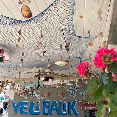 酒店 Larimar Çeşme